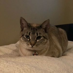 Meet your Posher, Margaret